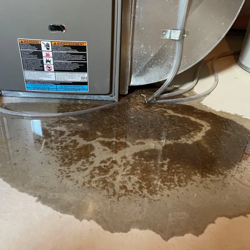 Appliance Leak Cleanup in Raceland, LA